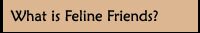 What is Feline Friends?